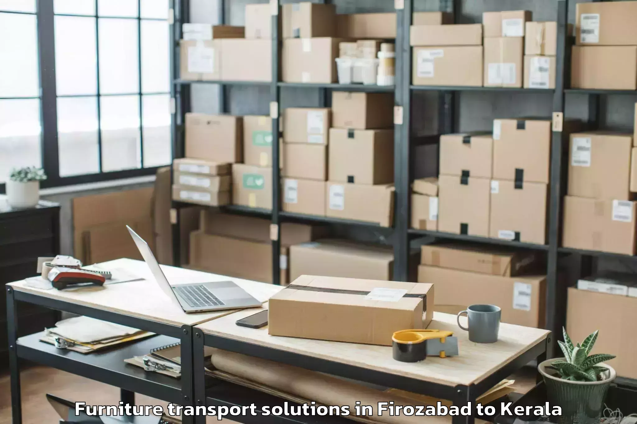 Expert Firozabad to Ottappalam Furniture Transport Solutions